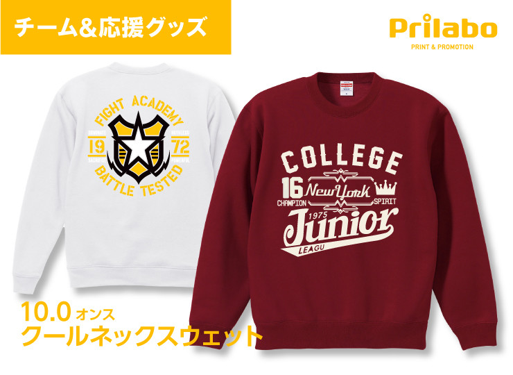 【10.0オンス】クルーネック スウェット (裏パイル) lt_ua5044